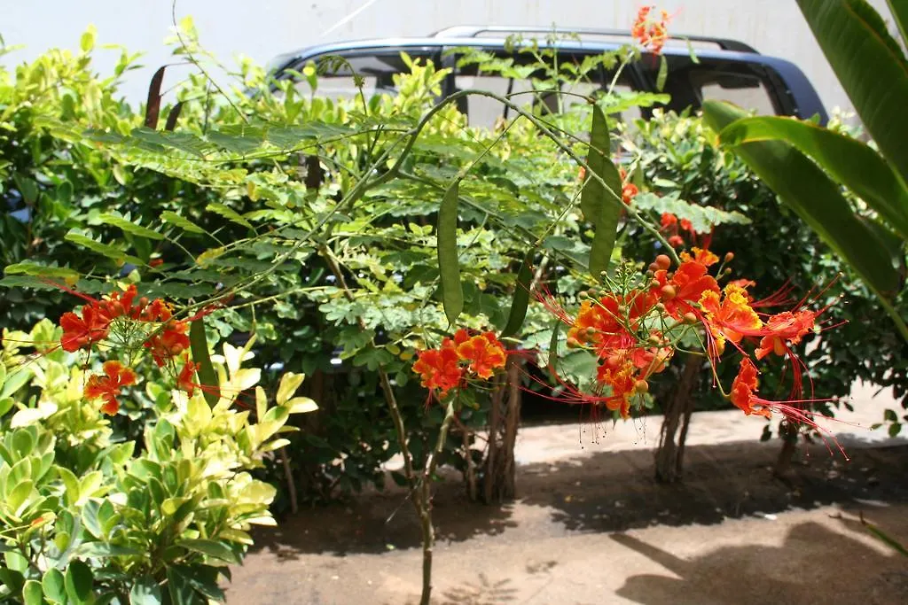 Auberge Keur Diame Dakar Ostello