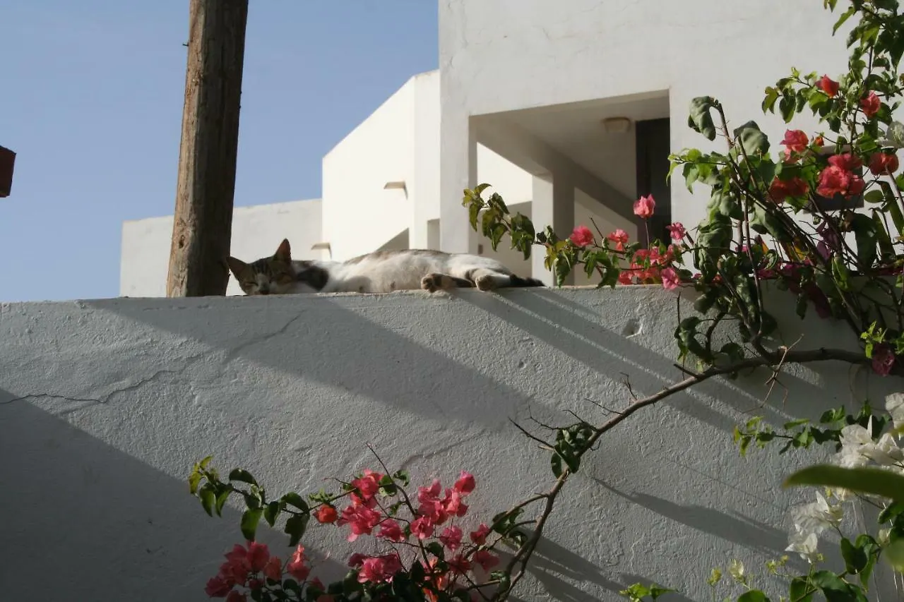 Auberge Keur Diame Dakar